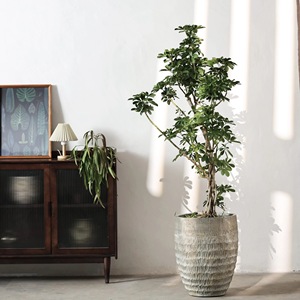 Pot de fleurs rond en <span class=keywords><strong>fibre</strong></span> d'argile, décoration intérieure et extérieure unique, fait à la main, en relief, grand format - Product Image 2