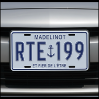 Plaque en PVC plastique personnalisée avec logo en relief, sérigraphiée, personnalisable, pour plaques d'immatriculation de voiture, publicité, art métallique