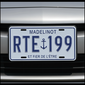 Placa de PVC de Diseño Personalizado con Logotipo en Relieve, Impresión Serigráfica, Cubiertas Personalizables para Matrículas de <span class=keywords><strong>Coche</strong></span>, Arte Publicitario en Metal - Product Image 5