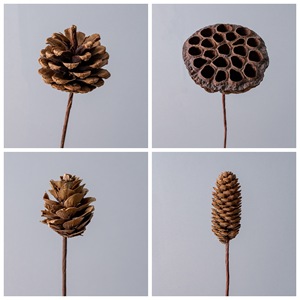 CallaFloral – Cône de lotus séché et cône de pin sur branche unique pour décoration intérieure - Product Image 3