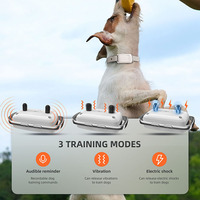 Wiederaufladbares Intelligentes Fernbedienungs-Hundetrainingshalsband Eins-zu-Zwei IP67 Wasserdicht 3 Modi LED-Nachtlicht Anti-Bell-Gerät für Haustiere