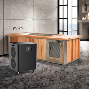 Tất cả trong một sang trọng 2 người lạnh Plunge hiện đại thép không gỉ bằng gỗ bồn tắm Wifi điều khiển làm mát bằng không khí 1HP Ice Bath Máy làm lạnh nước - Product Image 1