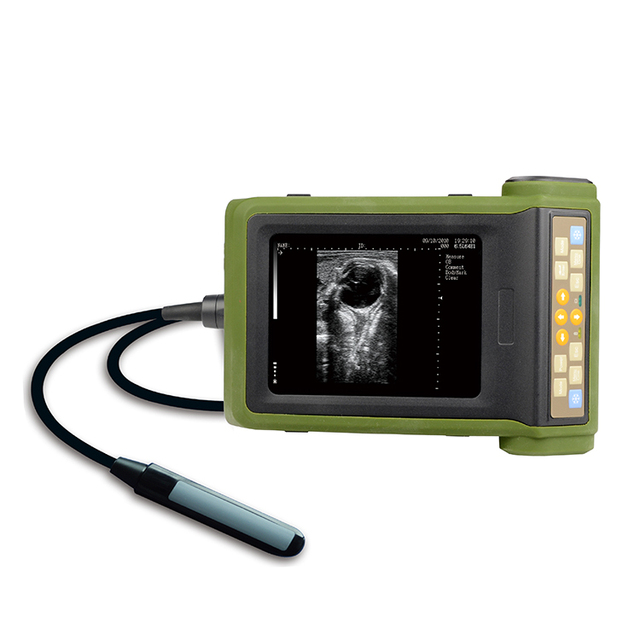 Veterinary Endoscopy Equipment Medical Flexible Endoscope Endoscopy Machine