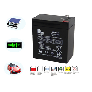 Longue durée de vie 8V5.5ah 4FM5.5 système de haut-parleurs à cycle profond batterie sans entretien plomb-acide pour application d'éclairage - Product Image 2