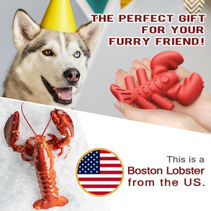 Nuevo Juguete Masticable para Perros Lobster 2026, Nylon Duradero de Grado Alimenticio y Madera de Café, Hueso para Masticadores Agresivos de Razas Grandes, Salud Dental - Product Image 3