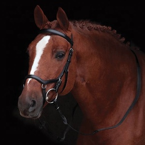 Brida de cuero para montar a caballo con canal vacío, superventas - Product Image 2