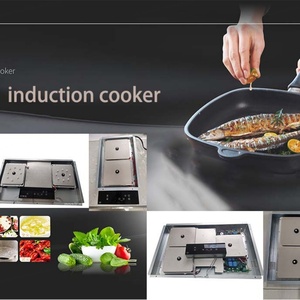 เตาแม่เหล็กไฟฟ้าแบบฝังใต้เคาน์เตอร์ หัวเตาเดี่ยว/คู่ แบบซ่อน มองไม่เห็น - Product Image 2