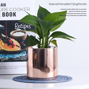 Op maat gemaakte keramische bloempot met gouden plating, eenvoudige Scandinavische stijl, geschikt voor meerdere groene planten, ronde keramische pot voor hydroponie. - Product Image 3