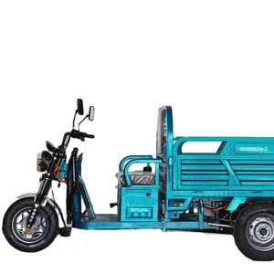 2023 Elektro-Dreiräder Adult Cargo Bike Brush less Motor Leistungs starkes Elektro fahrzeug Hot Sale