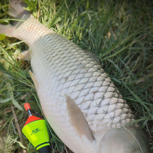 Support de canne à pêche automatique multicolore avec flotteur à hameçon haute sensibilité en PVC pour optimiser le taux de capture - Vente en gros - Product Image 5