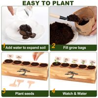 Kit de bonsaï de luxe écologique en 5 pièces, facile à cultiver pour les débutants, kit de jardin d'intérieur en bonsaï vivant, boîte en bois, outils, plante