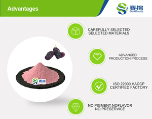 マルベリーフルーツパウダーエキス卸売価格スプレードライマルベリーパウダーインスタントマルベリージュースパウダー - Product Image 3