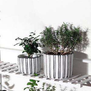 Wholesale Nordic Unique Cement Planter Pot Set