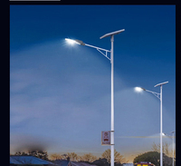 Projecteurs LED Risen Green 220 Volts IP65 SMD pour extérieur 100W