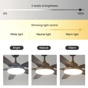 5 Blade 52 inch <span class=keywords><strong>Fan</strong></span> Trần 6 tốc độ <span class=keywords><strong>DC</strong></span> động cơ <span class=keywords><strong>Reversible</strong></span> điều khiển từ xa <span class=keywords><strong>Fan</strong></span> trần ánh sáng với LED ánh sáng - Product Image 6