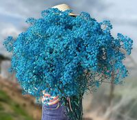 Fleurs de Gypsophile Préservées de Haute Qualité à Prix de Gros (60-70cm) pour Mariage, Fête des Mères, Saint-Valentin, Décoration Intérieure