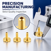 Rivets sur mesure de précision, fabricant OEM ODM, fixations métalliques spéciales produites à partir de dessins ou d'échantillons CAD PDF