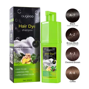 Shampoo colorante per capelli al ginseng all'ingrosso colorazione sana 100% copertura grigio senza ammoniaca shampoo permanente per capelli neri marroni
