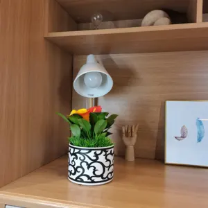 Vaso de plantas baratos, venda quente de vaso para plantas com 7 polegadas