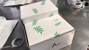 <span class=keywords><strong>210mm</strong></span> * 297mm bản sao giấy A4 giấy in 500 tờ giấy giá thấp cho mỗi đơn hàng - Product Image 2