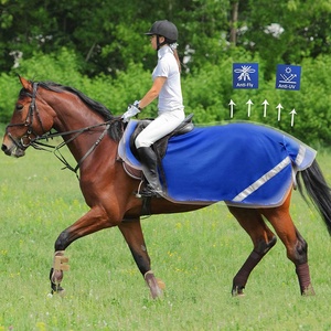 Moda su misura colori 300g foderato in pile di Alta qualità e confortevole quick dry tappeti cavallo cavallo di Estate esercizio quarti tappeto - Product Image 4