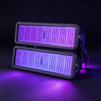 Projecteur LED UV 400W 365/395nm IP66 en alliage d'aluminium avec garantie de 5 ans pour scène, terrain de baseball et éclairage d'ambiance de fête