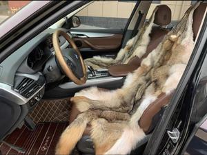 Venta Directa de Fábrica Pieles de Coyote de Alta Calidad Pieles Completas de Coyote - Product Image 3
