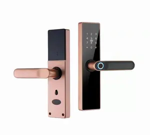 Schlüssel Finger abdrucker kennung Passwort Karte elektronische Finger abdruck Felge digital Tuya Wifi automatische Smart Türschloss