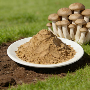 Pabrik Cina Menyediakan Bubuk <span class=keywords><strong>Shiitake</strong></span> Murni, Badan Buah Alami Lentinus Edodes, Bubuk Polisakarida untuk Makanan Kesehatan - Product Image 1