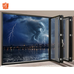 نظام طي ثنائي من الألومنيوم الأسود المعاصر للفيلا أو منزل الشاطئ - Product Image 2