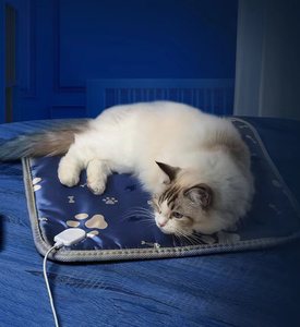 Tapis chauffant d'intérieur imperméable pour animaux Coussin chauffant électrique pour animaux de compagnie Sac d'opp <span class=keywords><strong>Couverture</strong></span> électrique imprimée pour animaux de compagnie Lavage à la main - Product Image 6