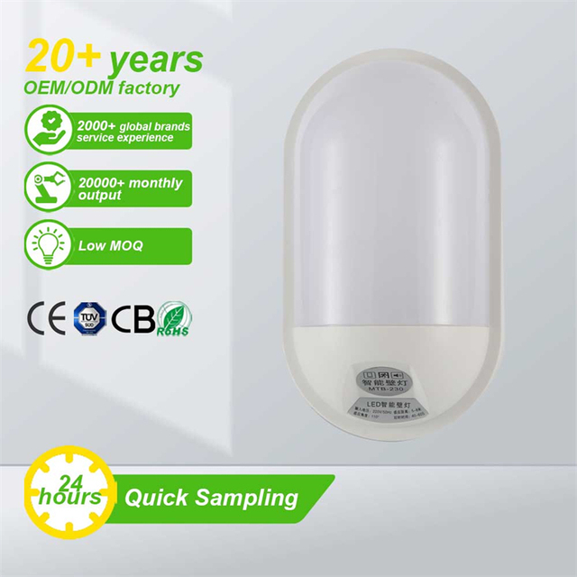 Body Sensing Ceiling Light Moisture Proof Wall Lamp Automatic Detector Lamp Wireless Sensor Led Night Light