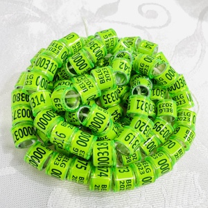 Bague de course pour pigeon 2024, multicolore, avec inscription, boucles d'oreilles//v - Product Image 5