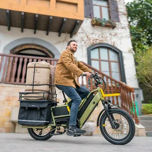 Nuovo Design doppia batteria rimovibile EU CE versione Bafang 250W due ruote Cargo Bike elettrico