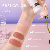 HAICUIER Stick de blush double embout (version anglaise) - Illumine les joues, contour délicat, fini naturel, fusion sans limites avec la peau