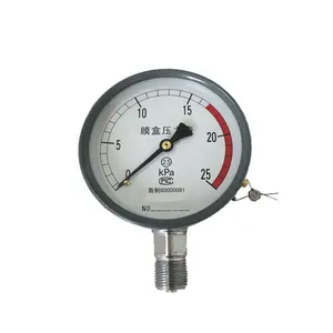 Medidor de pressão personalizado para diafragma baixo, medidor de pressão de vedação de diafragma de -60 a 0, -40 a 40 kPa