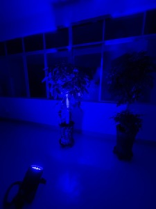 Alta calidad IP65 impermeable LED etapa luz 18PCS RGBW 4 en 1 haz proyector DMX512 Control - Product Image 3