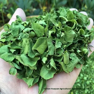 Оптовая продажа листьев семян Yunnan <span class=keywords><strong>Moringa</strong></span> AD сушеные сырые листья <span class=keywords><strong>Moringa</strong></span> 1 кг - Product Image 2