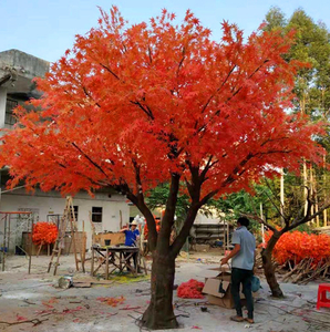 Albero di Acero Artificiale per Casa e Giardino a Prezzo di Fabbrica, <span class=keywords><strong>Piante</strong></span> da Giardino per Paesaggistica in Offerta - Product Image 2