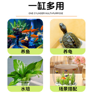 Aquarium de bureau écologique rond en plastique transparent pour poissons rouges avec plantes aquatiques, décoration d'intérieur - Product Image 2