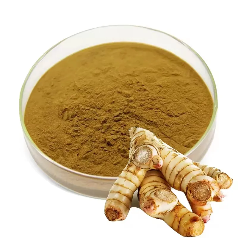 Top quality Organic galangal root powder Galangal Rhizome Alpinia Galanga Extract