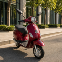 Scooter électrique SLS-V8-6 pour les trajets en ville, moteur puissant 60V 1000W, autonomie longue portée 60-70 km, batterie au plomb-acide, E-Moped