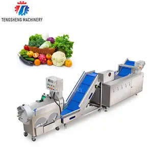 Mesin pencuci pengangkat sayuran dan buah, mesin pengiris pemotong kentang otomatis lini produksi
