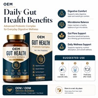 Suplemento Digestivo al por Mayor para el Bienestar Intestinal, Cápsulas de Complejo Probiótico Profesional, Fabricante OEM