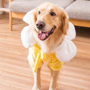 Golden Retriever-ropa para perros y gatos, ropa para perros de raza grande - Product Image 4