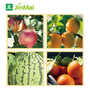 Engrais agricole NPK 14-8-28 CaO B Zn à haute teneur en potassium <span class=keywords><strong>pour</strong></span> l'agrandissement et l'amélioration de la qualité des fruits, engrais composé - Product Image 4
