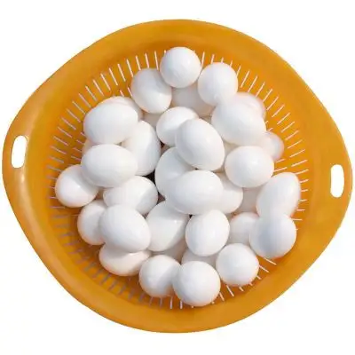 High quality Pigeon supplies artificial fake pigeon egg fake egg for pigeon