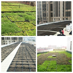 Black Rooftop Garden Green Roof Planters SL-X5015 <b>Square</b> Plastic Flower <b>Pot</b> Trays Self Watering Eco-Friendly Drainage Hole - Product Image 2