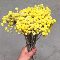 H05260 Bunga Diawetkan Grosir Bunga Helichrysum Kecil untuk Bunga Dekorasi Rumah