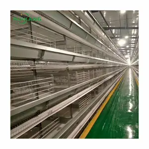 Hot Galvanized Wire Netting Mesh Poultry Layer Hen Chicken Used Tier Breeding Cage for chicken farms